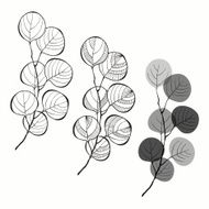 Set of abstract branches isolated on white background