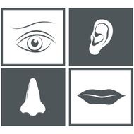 Nose eye mouth and ear pictograms