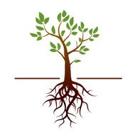 Vector tree green leafs and roots