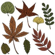 vector illustration silhouettes of different leaves N2