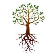 Vector tree green leafs and roots N2