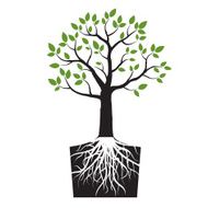 Black vector tree and green leafs roots N2