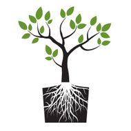 Black vector tree and green leafs roots N3
