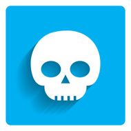 Skull Icon N20