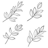 Leaves contours N2