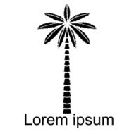 Coconut Palm Tree N7