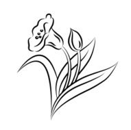 Flowers N370