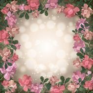 floral frame N254