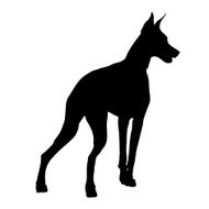 Doberman silhouette N4
