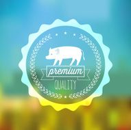 pork meat quality label on blurred background