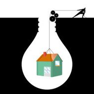 Bulbs and house concept