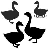 Goose N10