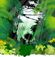 vector morning in jungle