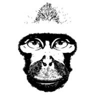 Monkey head avatar Chinese zodiac sign black silhouette N2