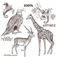 Collection of vector hand drawn animals N2