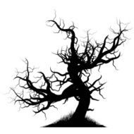 creepy tree N4