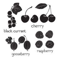 Set of berry silhouettes on a white background
