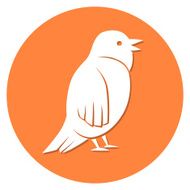 Bird N45
