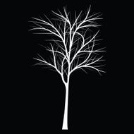 Trees with dead branch N132