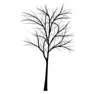 Trees with dead branch N133