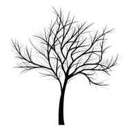 Trees with dead branch N134