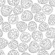 Seamless pattern with raspberry Black and white vector background