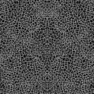 Abstract reticular background N2