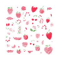 Berries collection sketch for your design N7