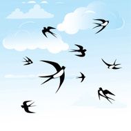 Bird swallow in blue sky Vector seamless horizontal illustration poses