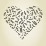 Wheat heart
