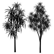 Tree N110