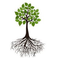 Tree With Roots N20