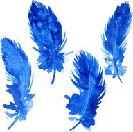 set of violet plumes