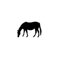 Horse Silhouette N20