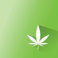 marijuana Cannabis icons vector illustration eps 10 N3