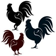 Rooster N35