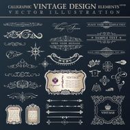 Vector set vintage Calligraphic design elements and page decora