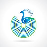Peacock birds with colorful feathers N2