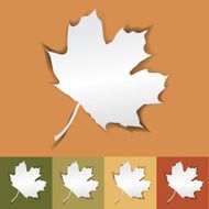 leaf simple background