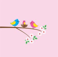 bird family N5