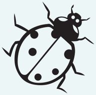 Illustration ladybug