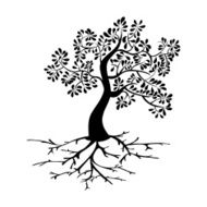 Tree silhouette isolated N6