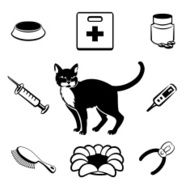 Cat veterinary clinic icons