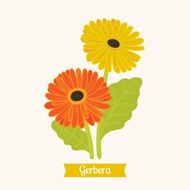 Floral educational cards G for Gerbera N2