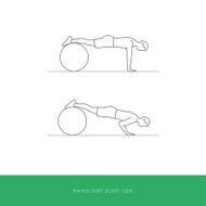 Fitness Icon Workout - swiss ball push ups