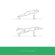 Fitness Icon Workout - alt arm leg plank