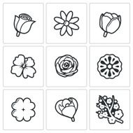 Flowers icons Vector Illustration