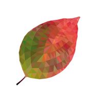 Abstract Single Autumn leaf