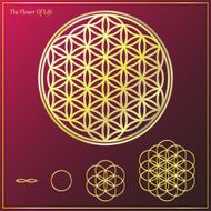 The Tree Of Life 1