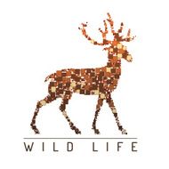 Abstract deer Mosaic Vector illustration Wild life N2
